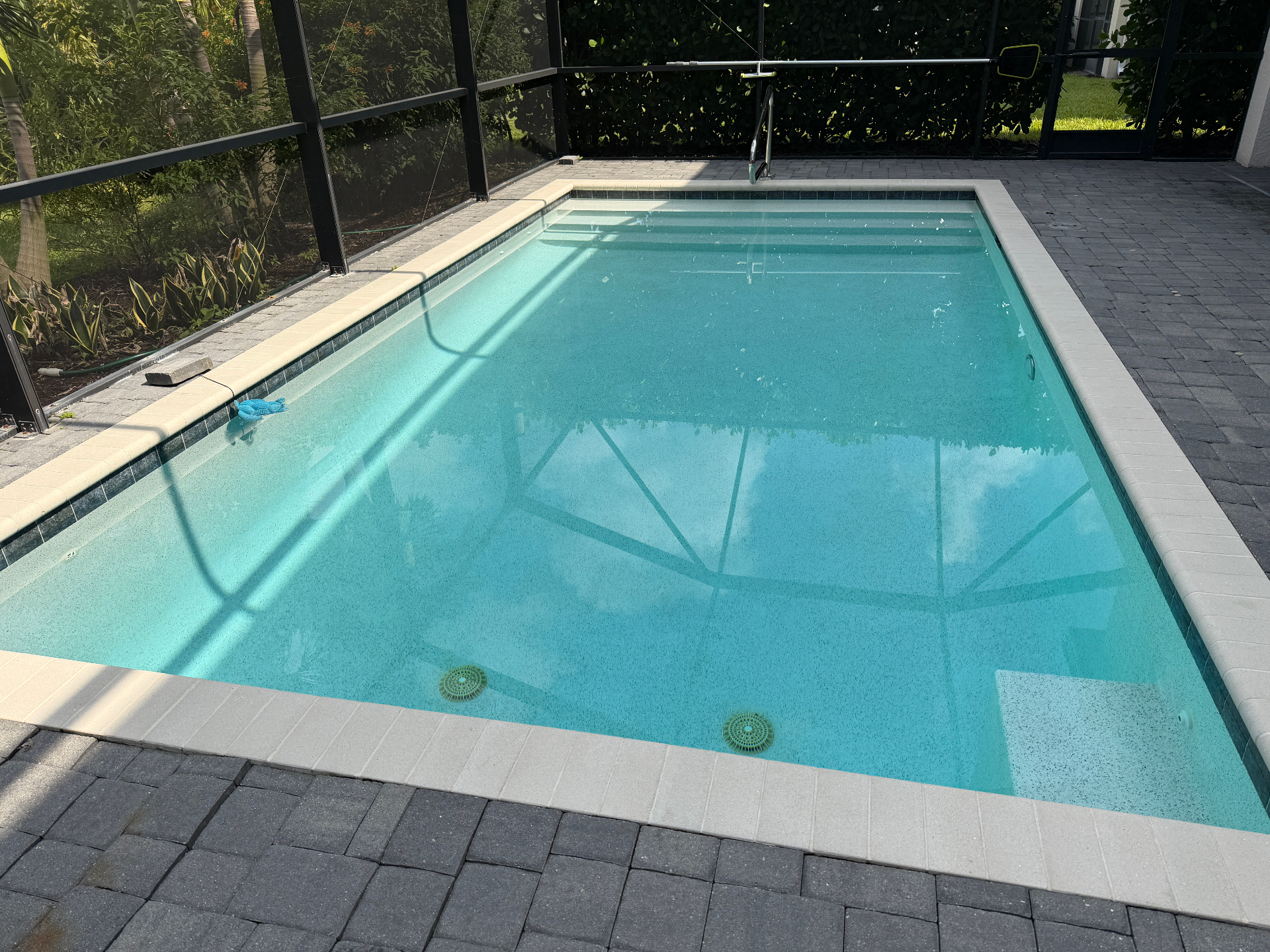 Same screened-in pool crystal clear after Bluguard treatment
