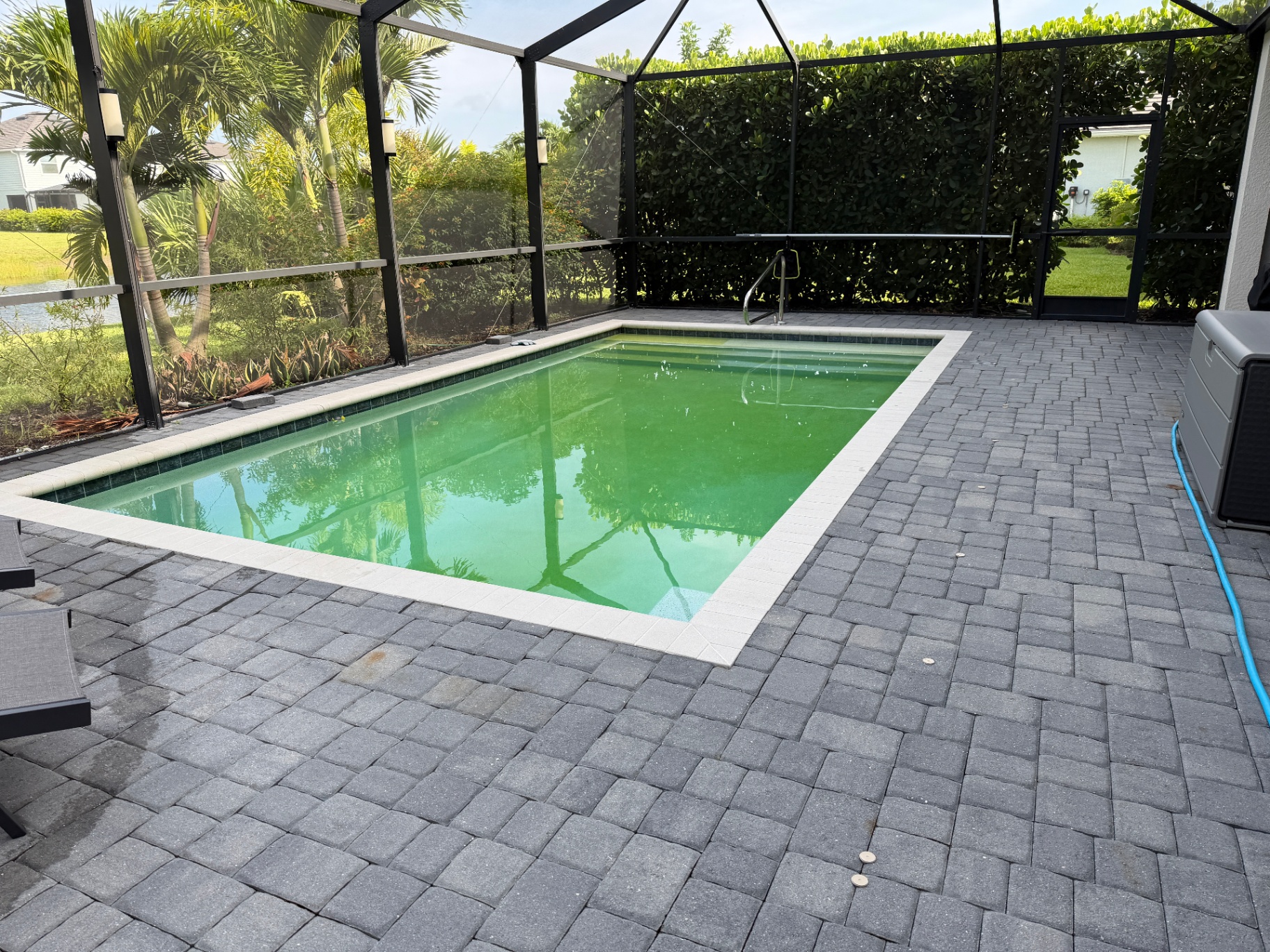 Green screened-in pool before Bluguard treatment